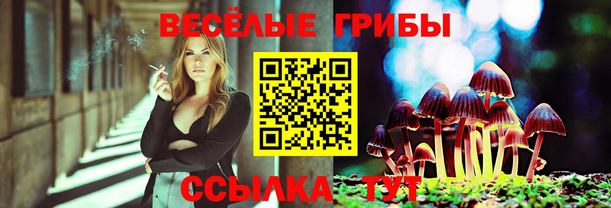 Каменск-Шахтинский  Галлюциногенные грибы мицелий  Вход с VPN 